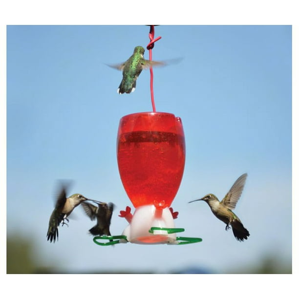 Songbird Essentials Big Red 10 oz free USA NAVIRE * DM #SE952 environ 283.49 g Hummingbird Feeder 